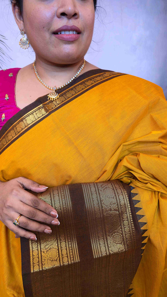 Kanchi Cotton Saree