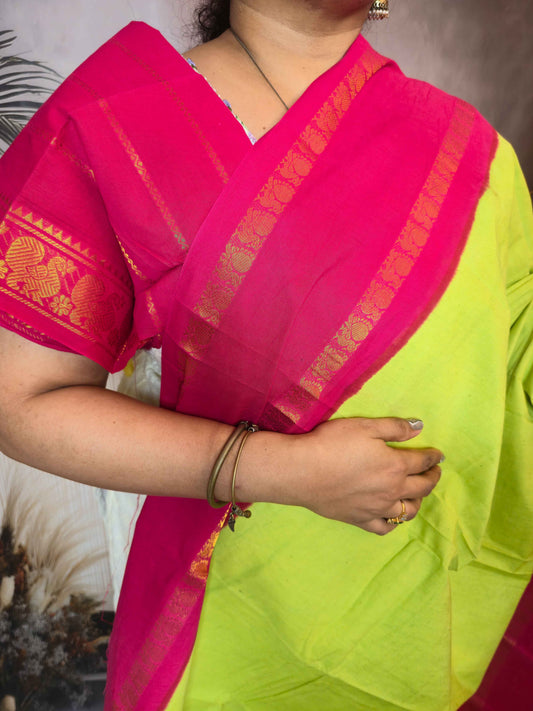 Plain Sungudi with contrast and borders
